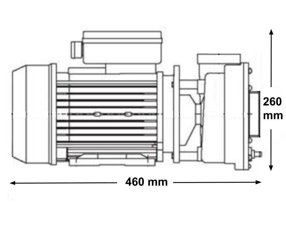 LX WP500 Spa Pump - 5HP - 2 Speed